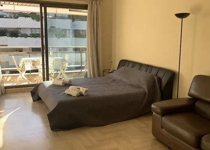 Gray D'albion Pol519 *