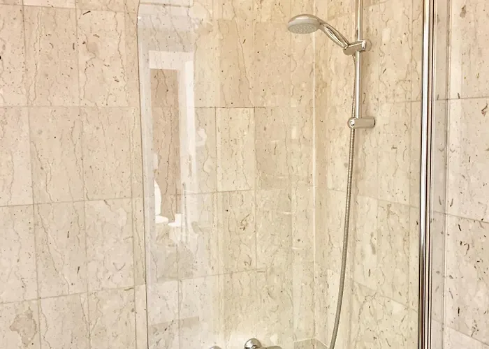 Gray D'albion Pol519 *