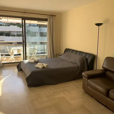 Gray D'albion Pol519 *