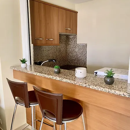 Gray D'albion Pol519 Канны