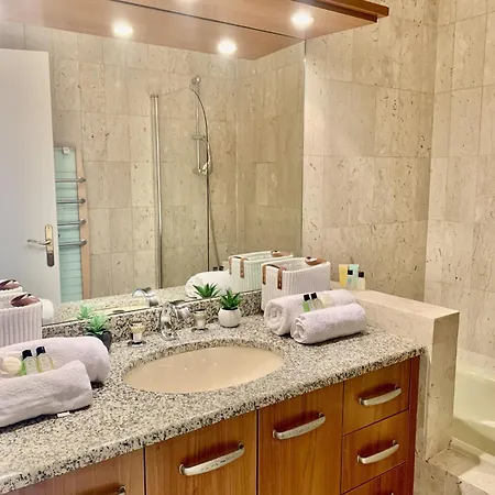 Gray D'albion Pol519