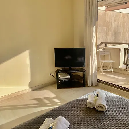 Gray D'albion Pol519 * Канны