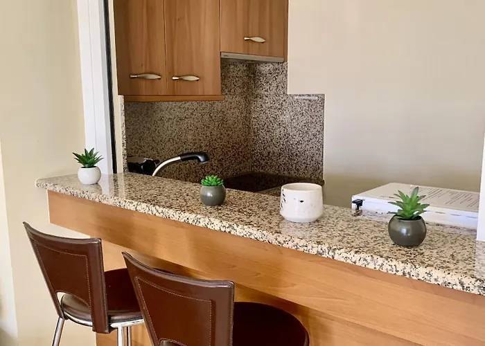 Gray D'albion Pol519 Κάννες