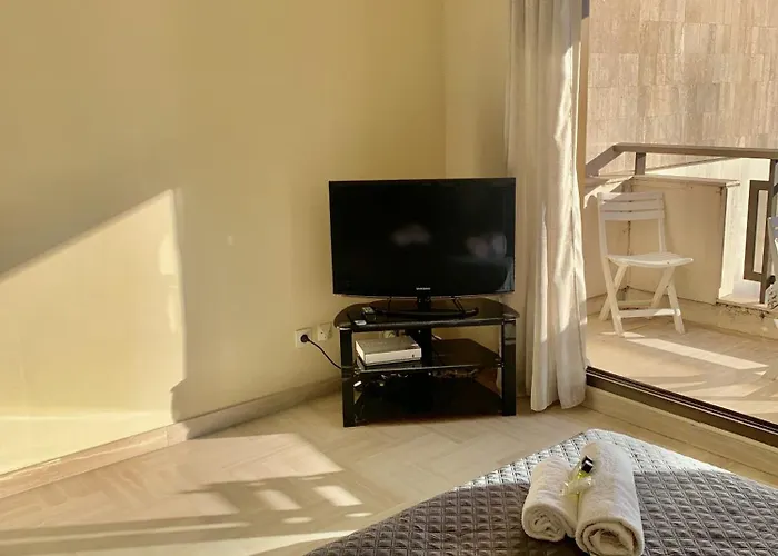 Gray D'albion Pol519 * Κάννες